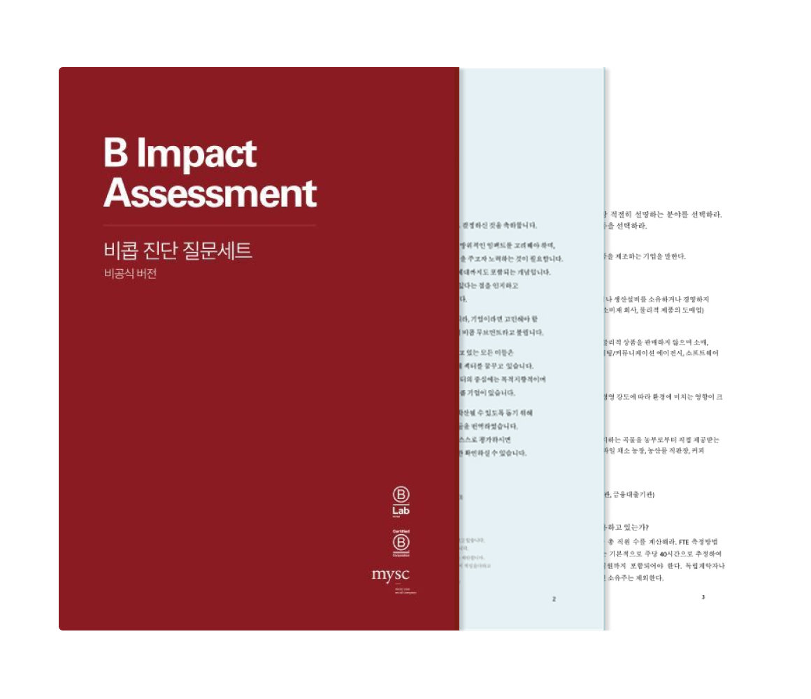 B Impact Assessment - 비랩