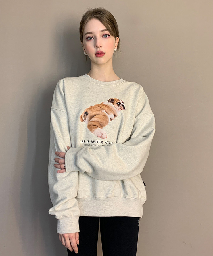 Shy Bull Dog Sweat Shirt_Oatmeal 파슨스 Parsons