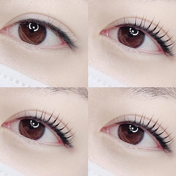 [경기 수원] 브로우날다