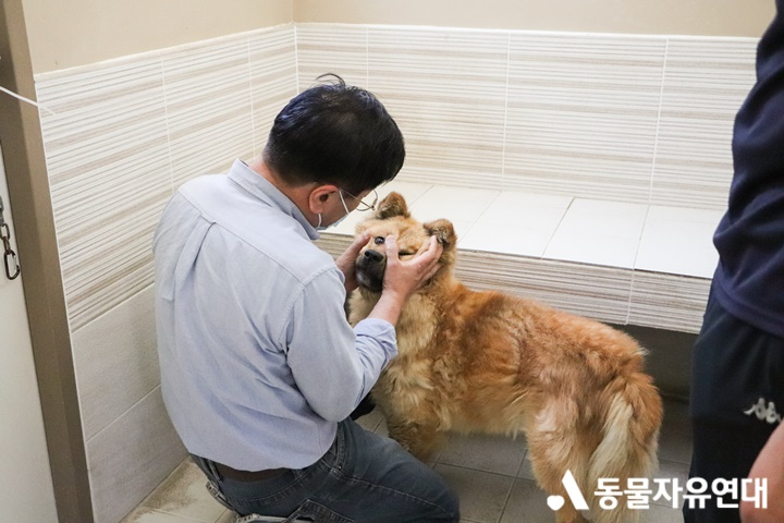 동물자유연대] 워크앤런이 온 센터 동물들의 든든한 다리가 되어주셨습니다. : 워크앤런-반려동물 맞춤보조기 휠체어
