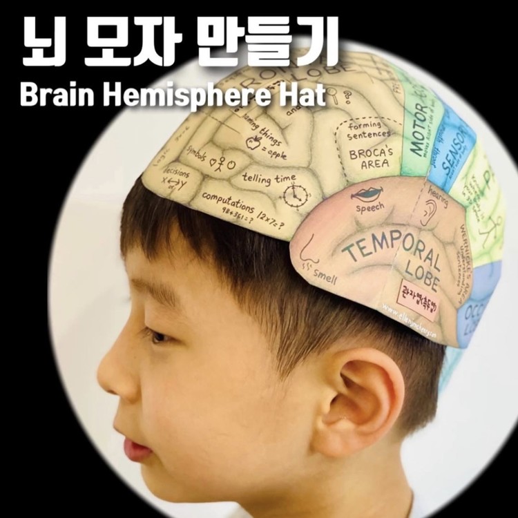 brain-hemisphere-hat-chaewooda-studio
