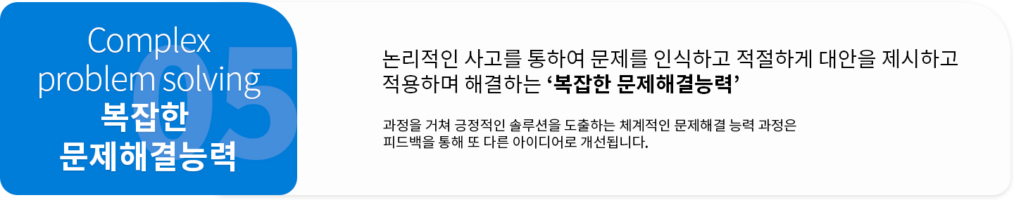 복잡한 문제해결능력