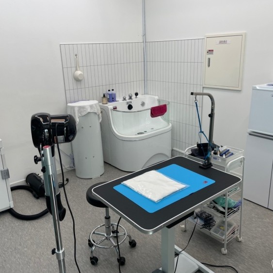 [인천 부평] 글림펫