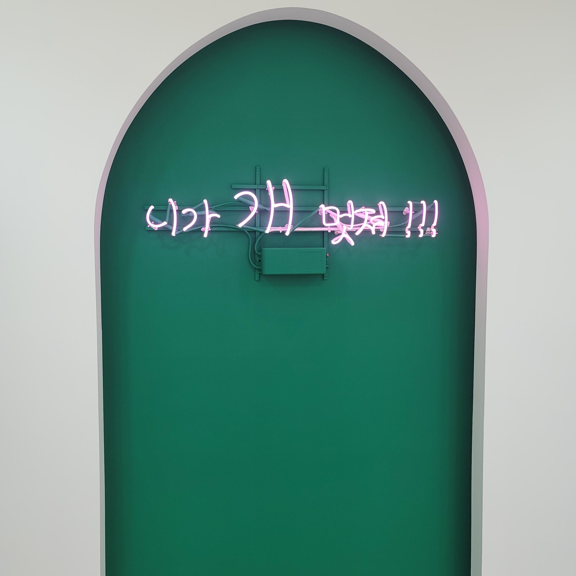 애견용품샵인테리어,애견용품매장인테리어,광진구인테리어,광진구매장인테리어,담아,네온사인인테리어
