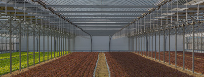 온실<br/><strong style="font-size:16px; text-transform:uppercase; opacity:0.3;">GREENHOUSE</strong>