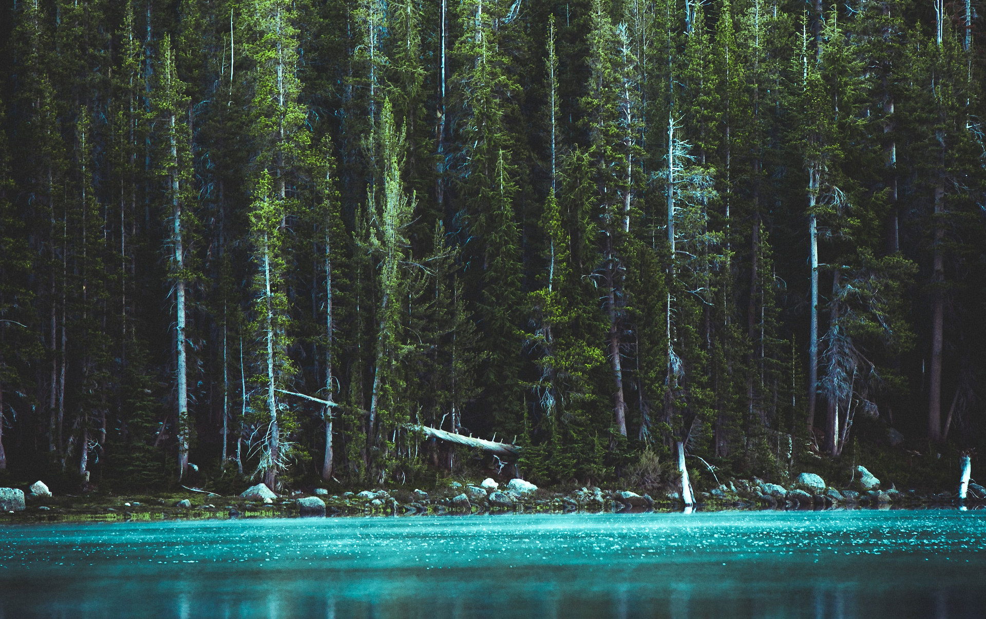 mobile background