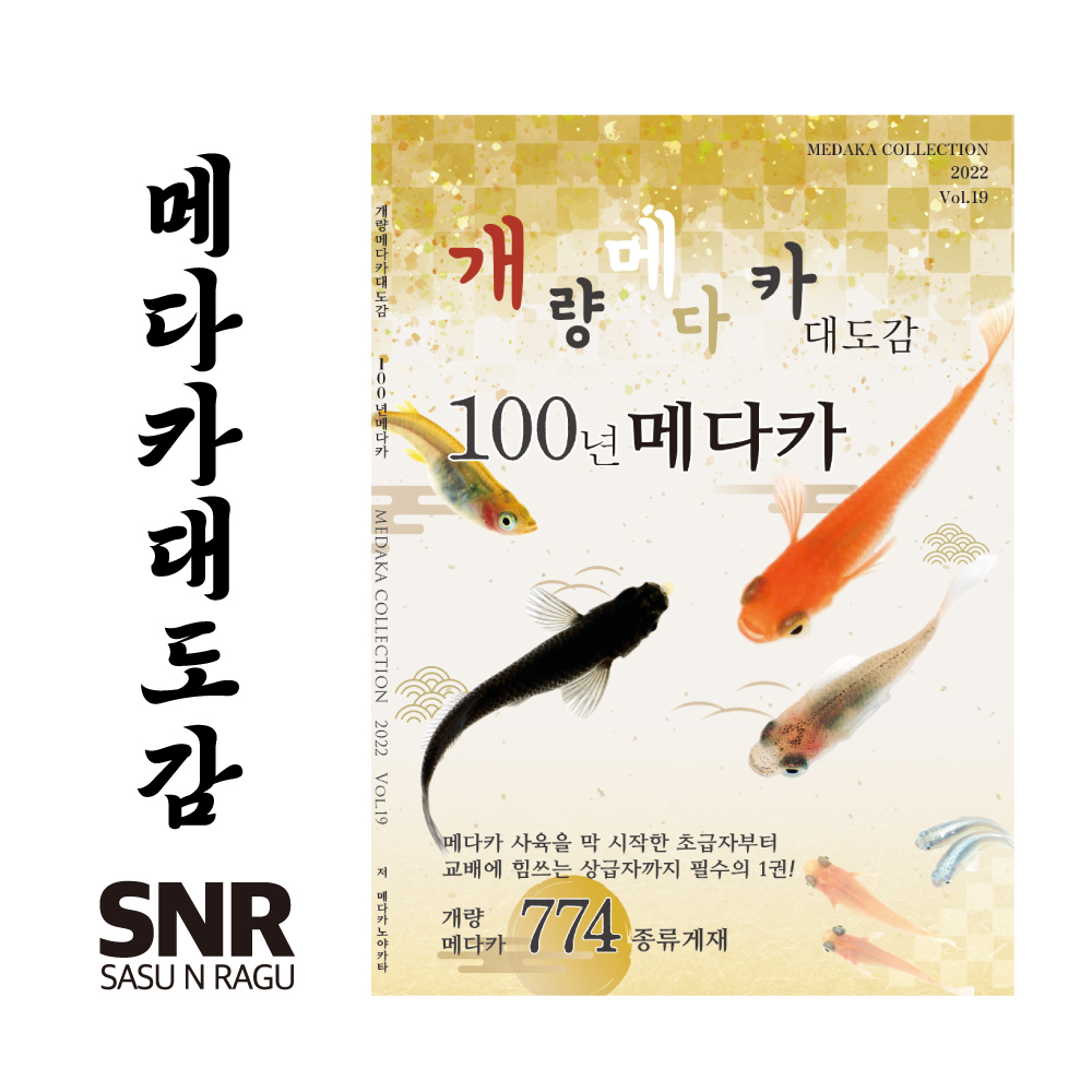 snr-company