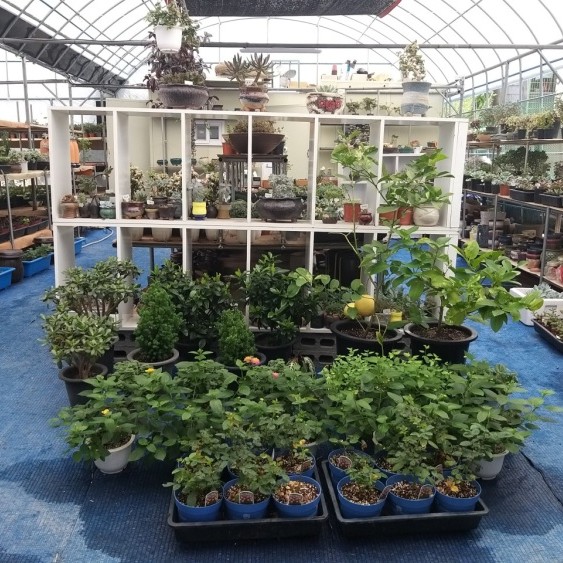 [대전 서구] 뜰애봄농원