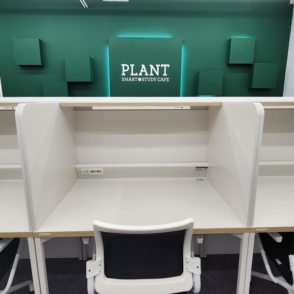[경남 창원] 플랜트스터디카페 마산완월점