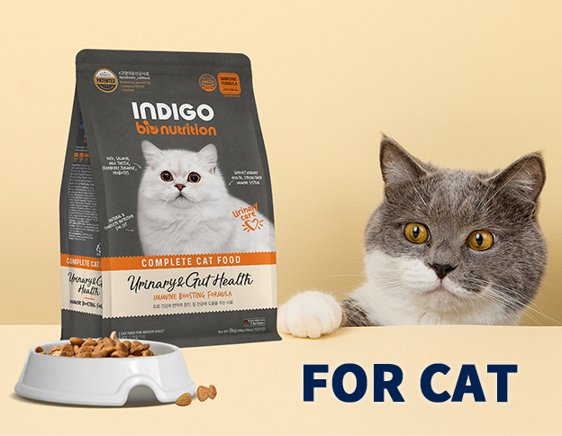 Indigo Paw Lifetime care for Pets