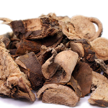 SOPHORA FLAVESCENS ROOT EXTRACT
