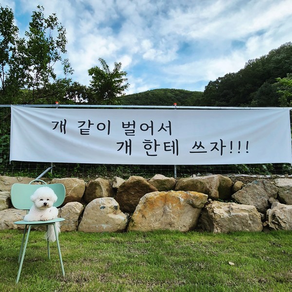 [대구 달성군] 666도그플레이