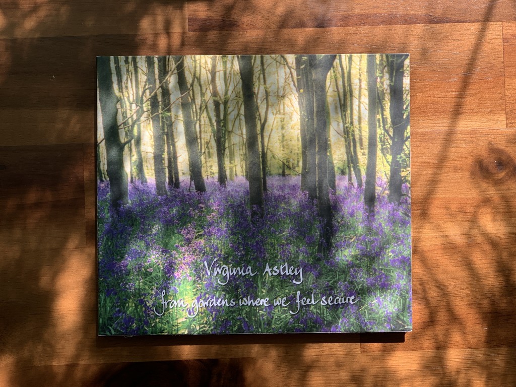 Virginia Astley / From Gardens Where We Feel Secure : 수관기피