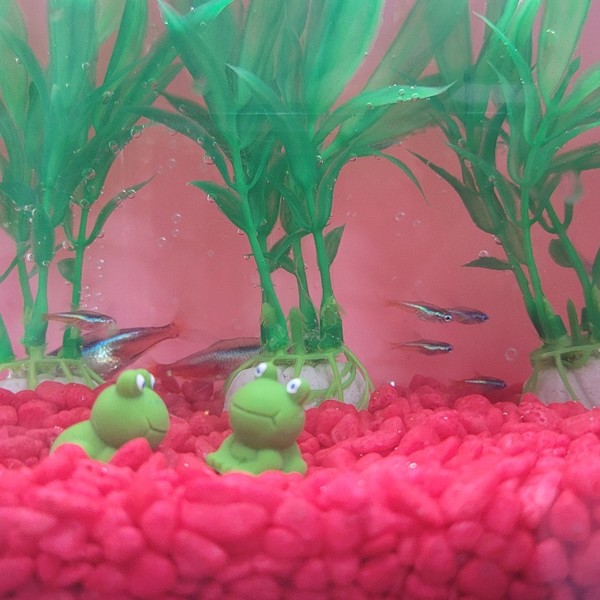 [경남 사천] 레드아쿠아