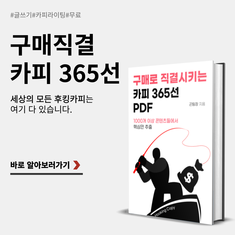 무료] 구매로 직결시키는 카피 365선 Pdf : 돈버는 공략집