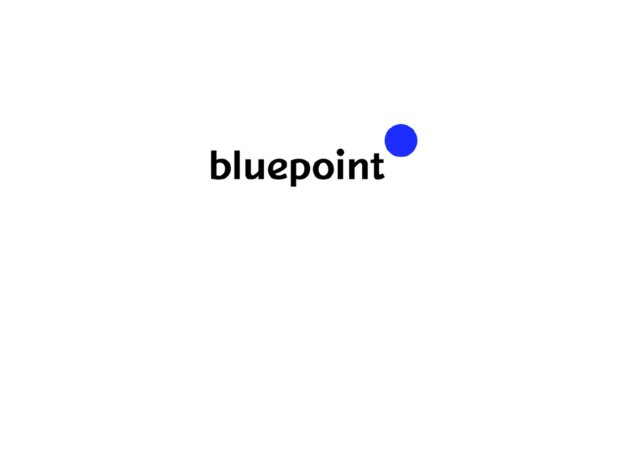 <p style="margin-left:10px;">bluepoint</p><h5 style="margin-left:10px">블루포인트</h5>
