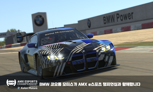 <strong>AMX e-SPORTS</strong>