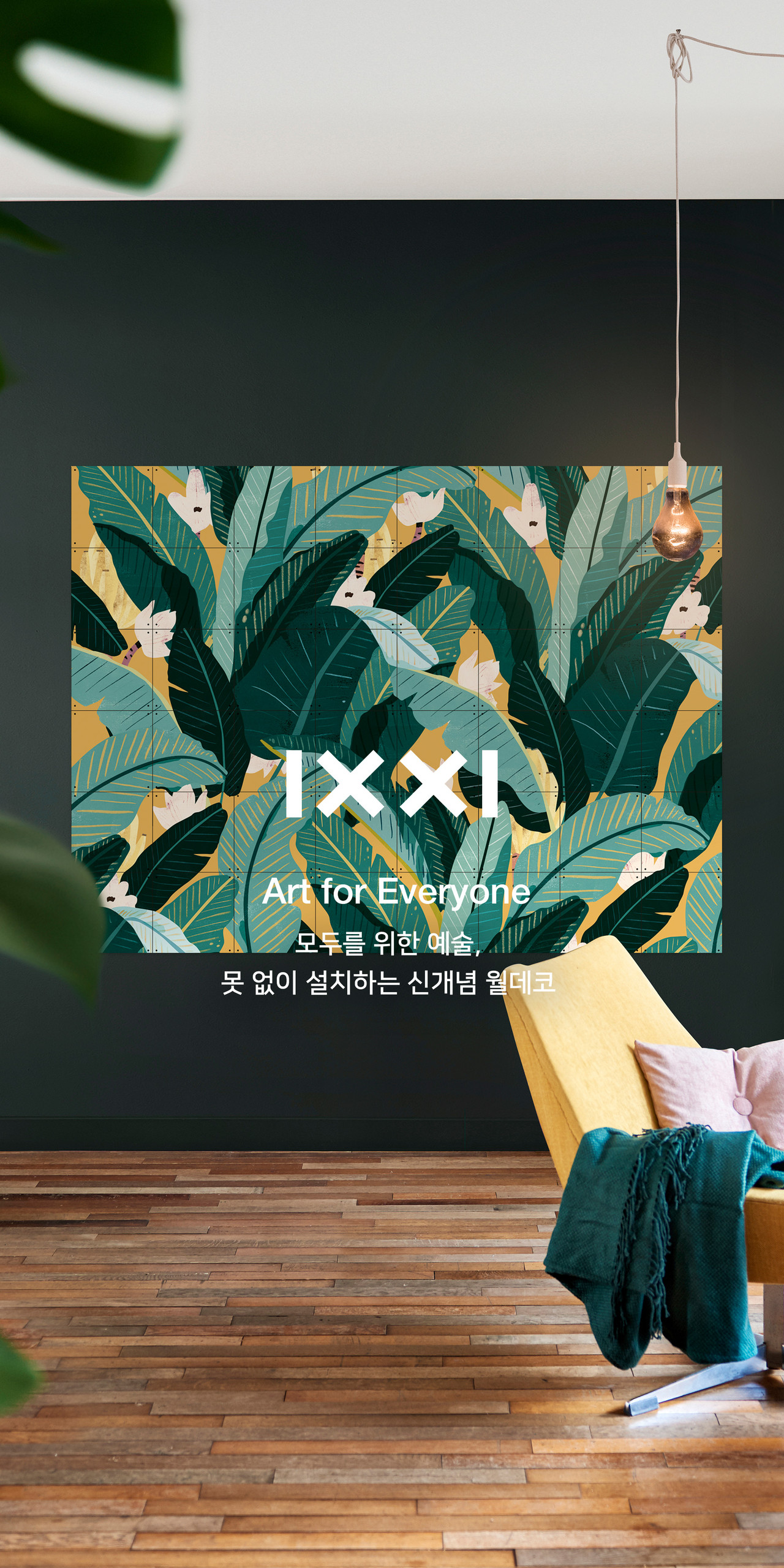 Shop IXXI >