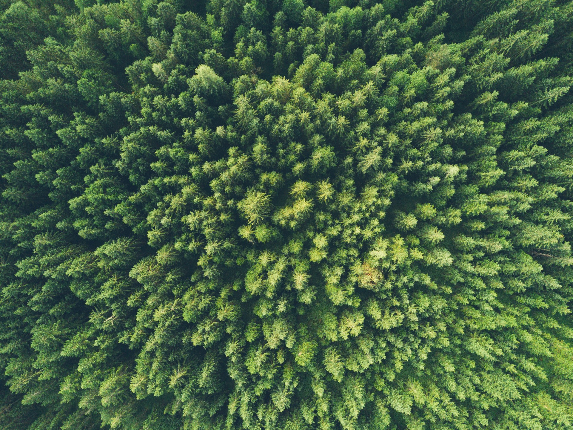 mobile background