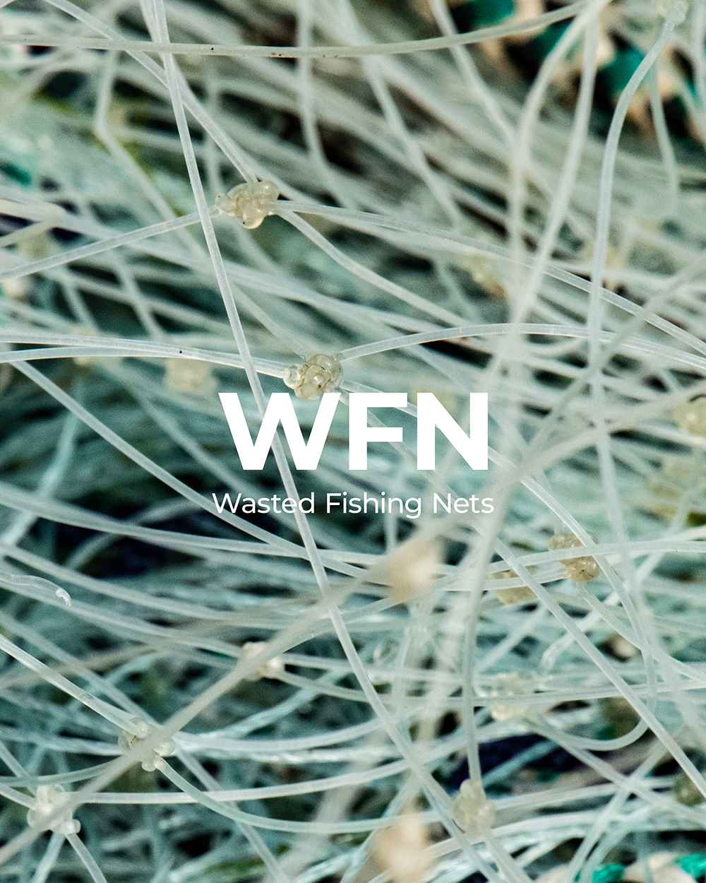 <span style="padding:10px; background:#000; left:0; top:0; position:absolute;">WFN</span>