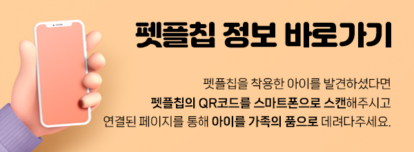 강아지정보, 우리가 몰랐던 사실! : 반려동물등록은 펫플 - 강아지인식표 고양이인식표 실종동물