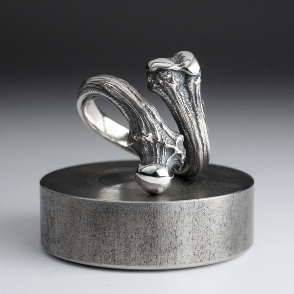 Tibia and Femur Ring in Pewter Bone Ring Medical Jewelry 
