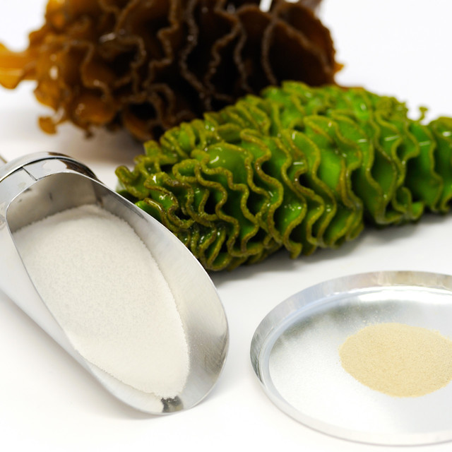SEAWEED EXTRACT