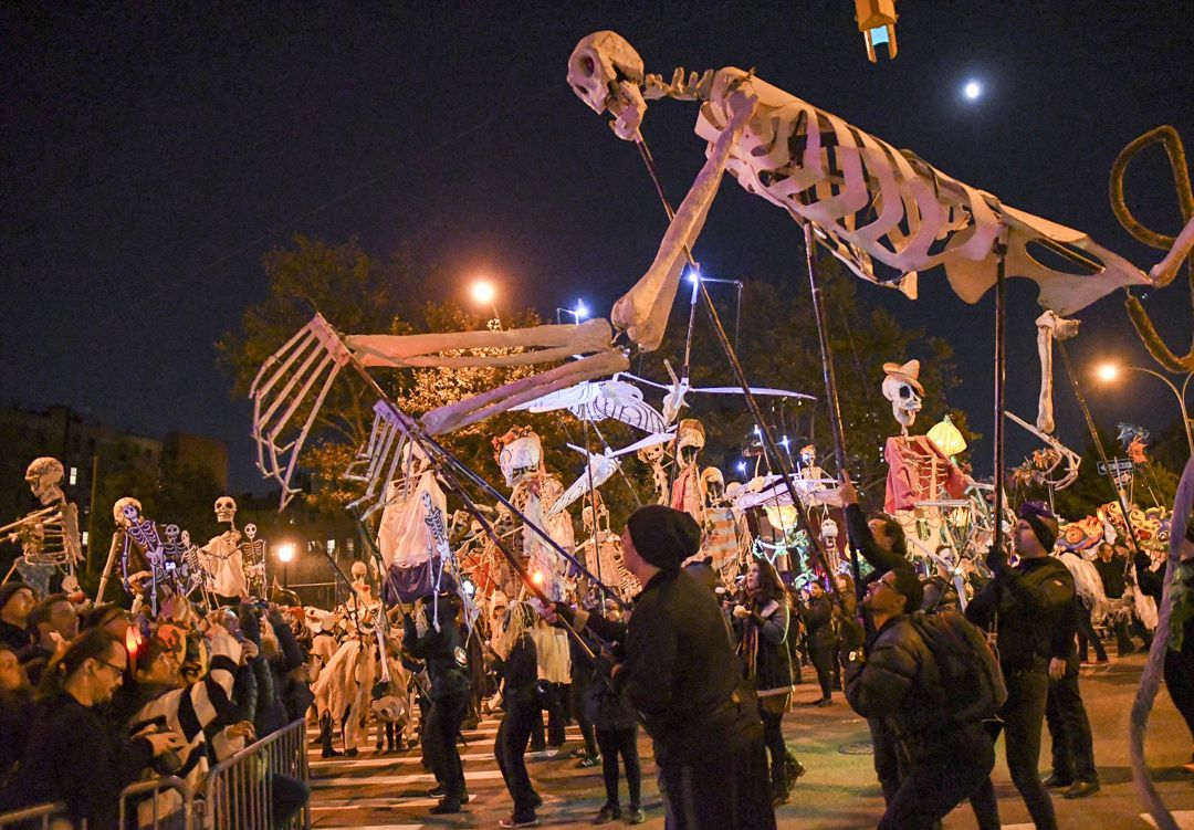 핼러윈 참사와 후불제 민주주의 : 교육 웹진 민들레, image size:1080x751