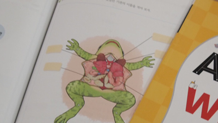 어디에도 없는 특별한 교재
