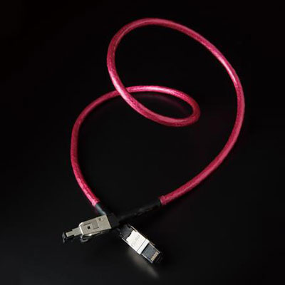 <strong>Ethernet Cable</strong>