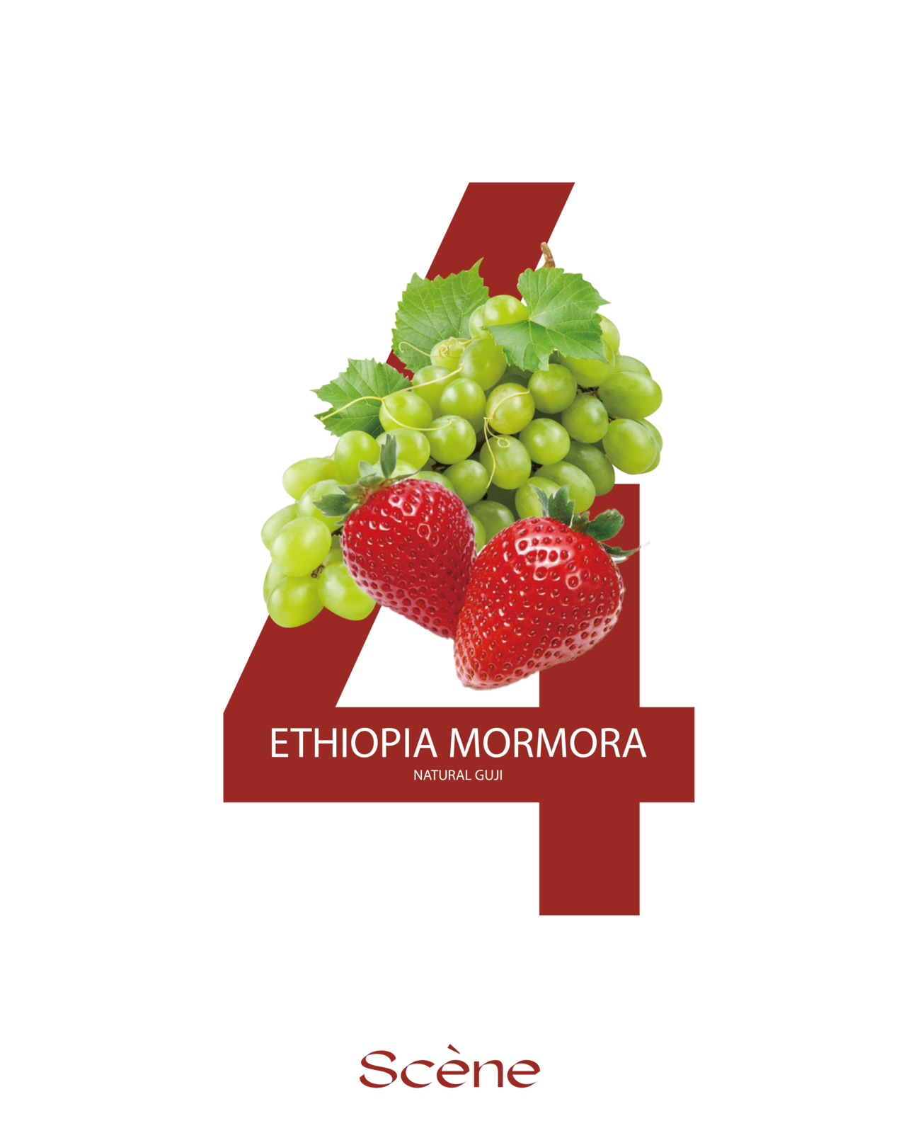 ETHIOPIA MORMORA / 16,000원
