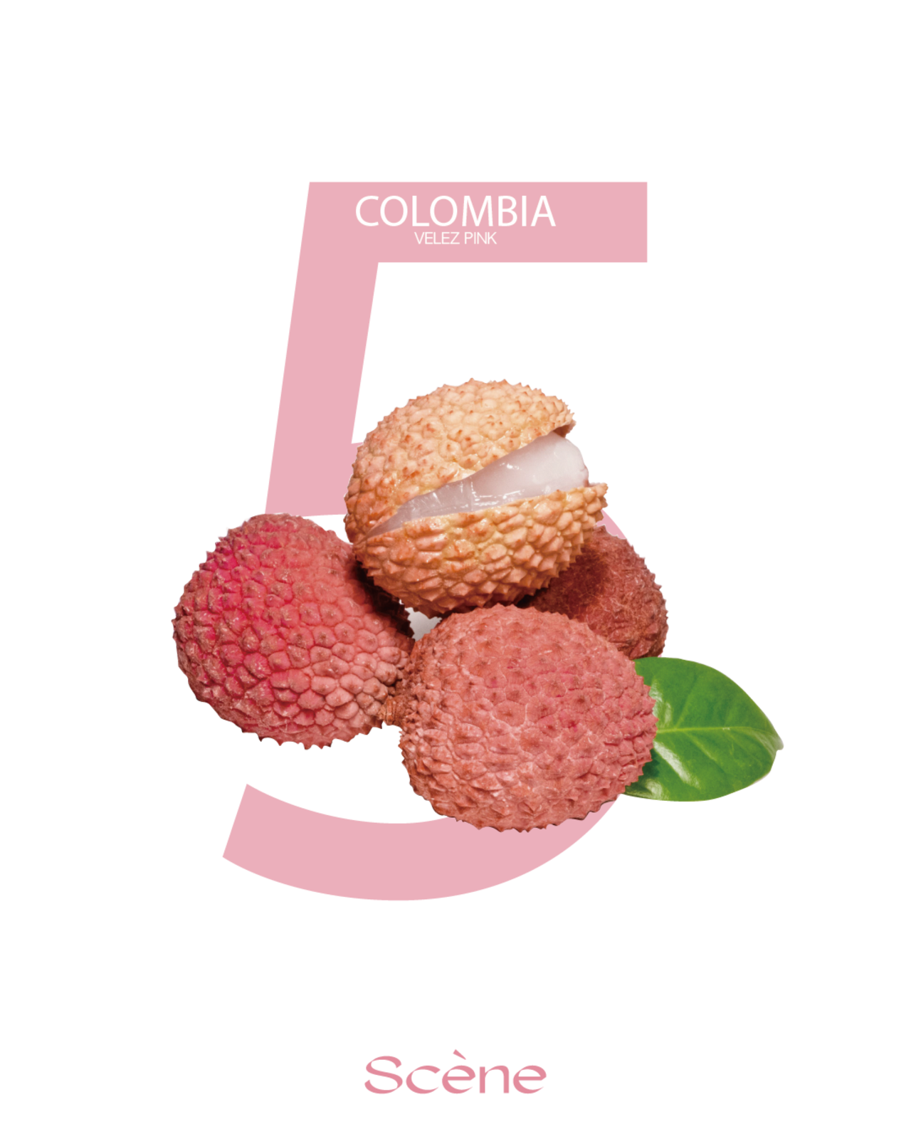 COLOMBIA VELEZ PINK / 32,000원