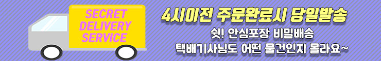 섹시속옷