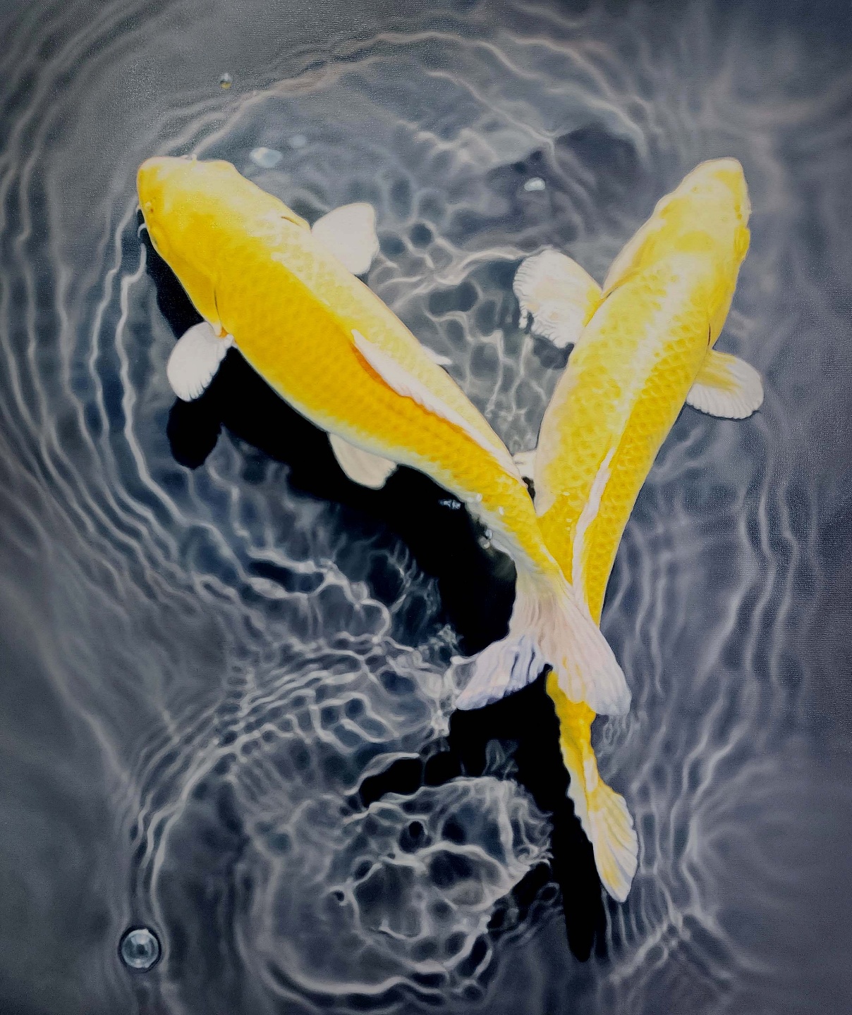 박정빈_비단물고기_ oil on canvas_73 × 60 cm_2022