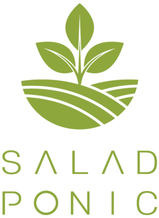 SALAD PONIC | 신선한 원물, 샐러드포닉
