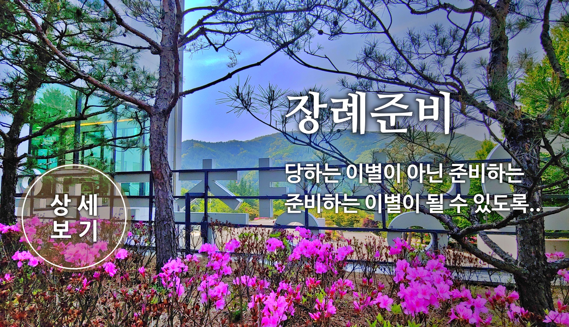 더포레 장례준비 설명 카테고리