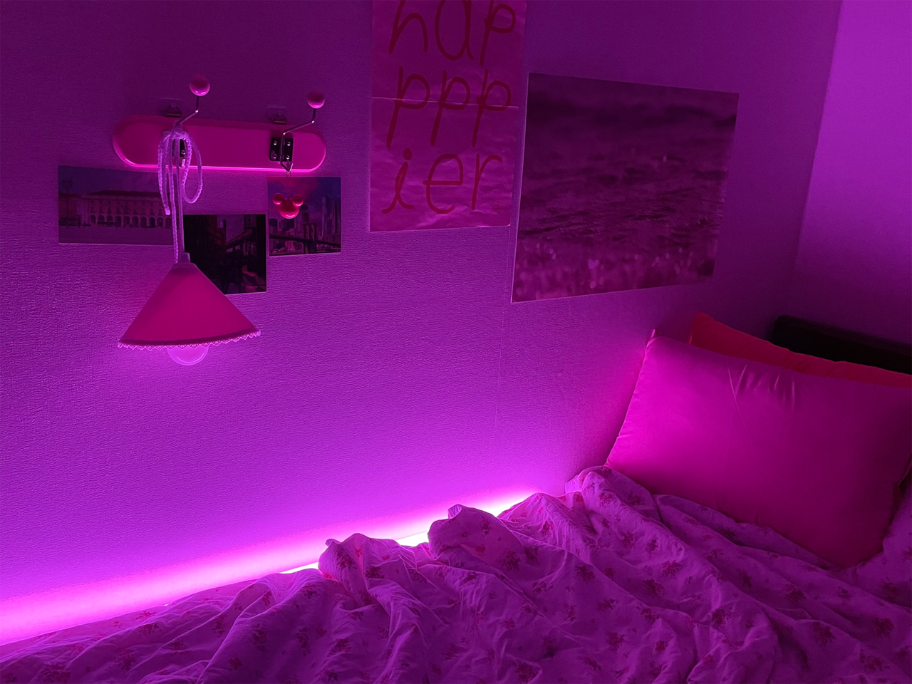 싱글컬러 연출시