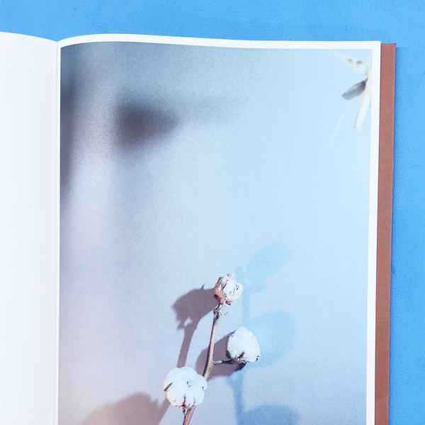 大野真人 Makoto Oono SEPARATE HIDDEN RULES SEPARATE HIDDEN RULES - Makoto Oono (RARE & SIGNED) : Same