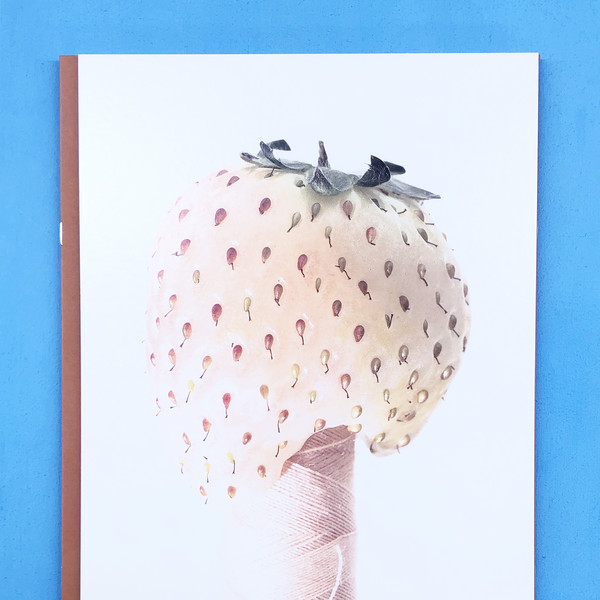 大野真人 Makoto Oono SEPARATE HIDDEN RULES f0a66fb98f4e7.jpg