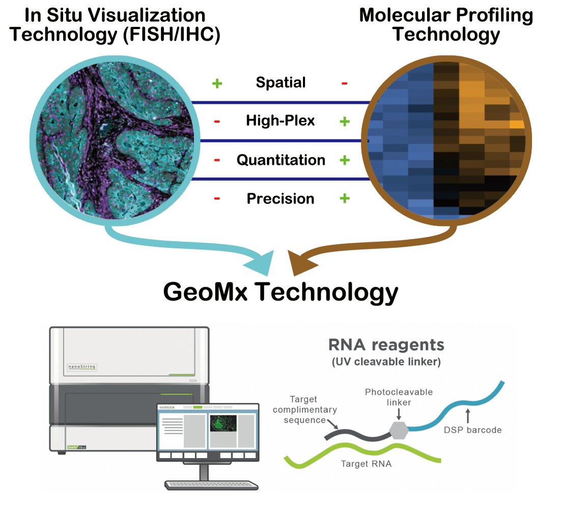 In situ Visualization Technology (FISH/IHC), Molecular Profiling Technologies