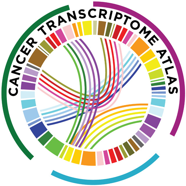 Human Cancer Transcriptome Atlas (hCTA)