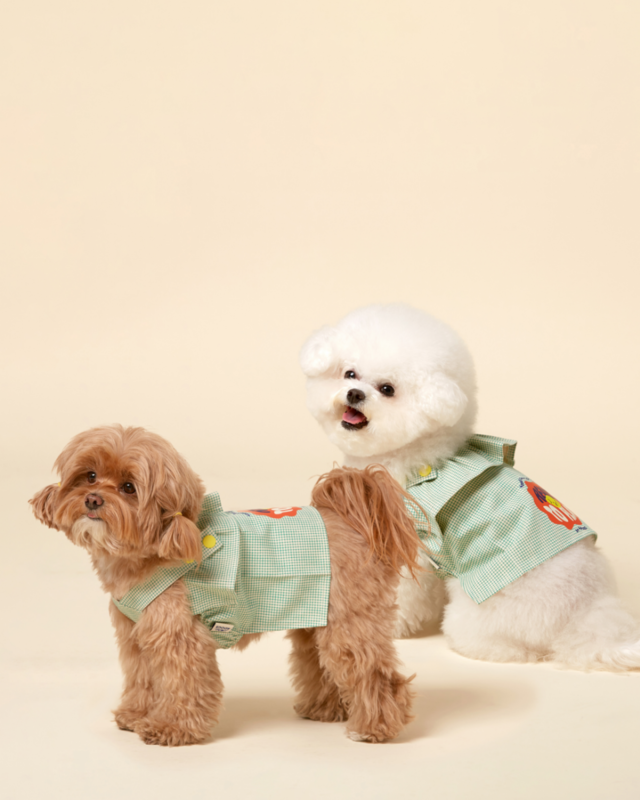 <p style="text-align: center;"><p style="margin-bottom: 40px;"><span style="font-size: 22px; font-weight: 600;">DRESS FOR DOGS</span></p>
