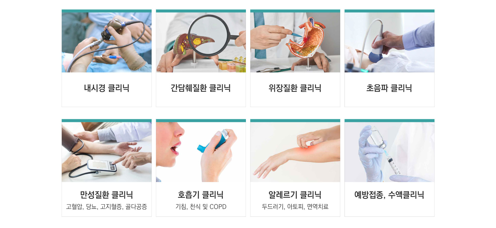 연세위드내과 진료과목