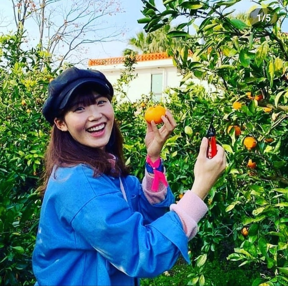 감귤체험 감성정원 테마파크, 제주 파더스가든