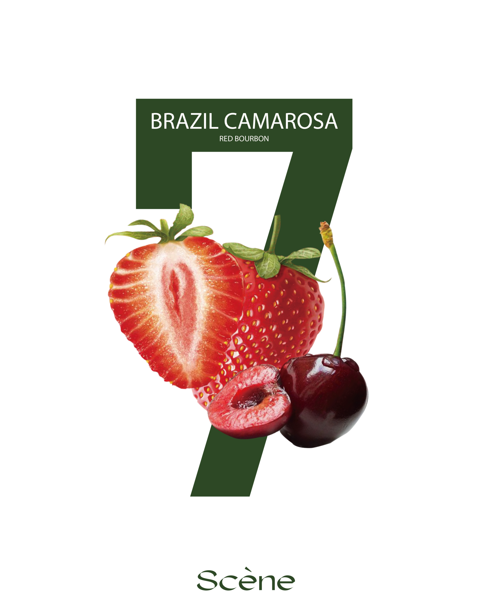 BRAZIL CAMAROSA ⠀⠀12,000원