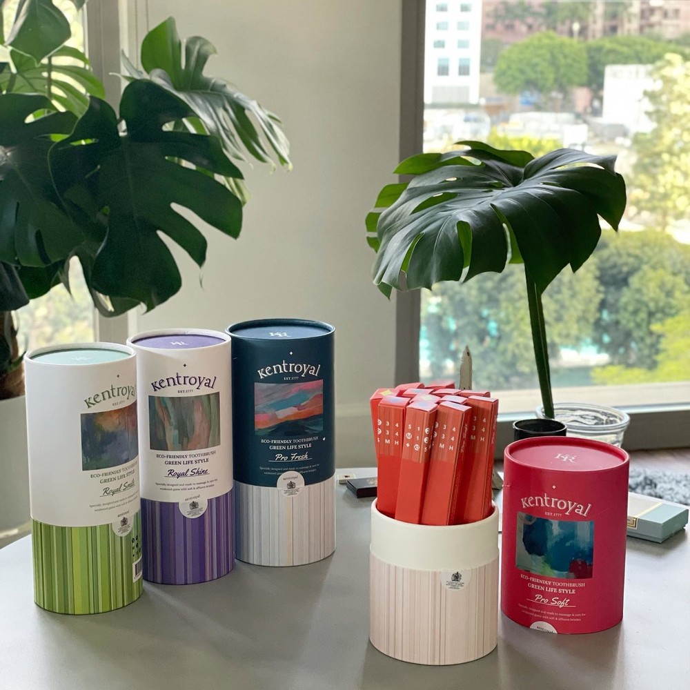 [내 돈의 내산] 켄트로얄 프로프레쉬,프로소프트비교/칫솔추천 9