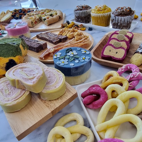 [대구 동구] 로앤초이 펫푸드