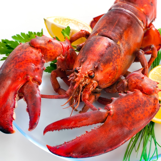 어디서든 고급레스토랑 처럼! - A급 자숙 랍스터 총 4마리 (2.4kg 내외, 자숙후 1.6kg 내외) : 태화농수산 홈페이지
