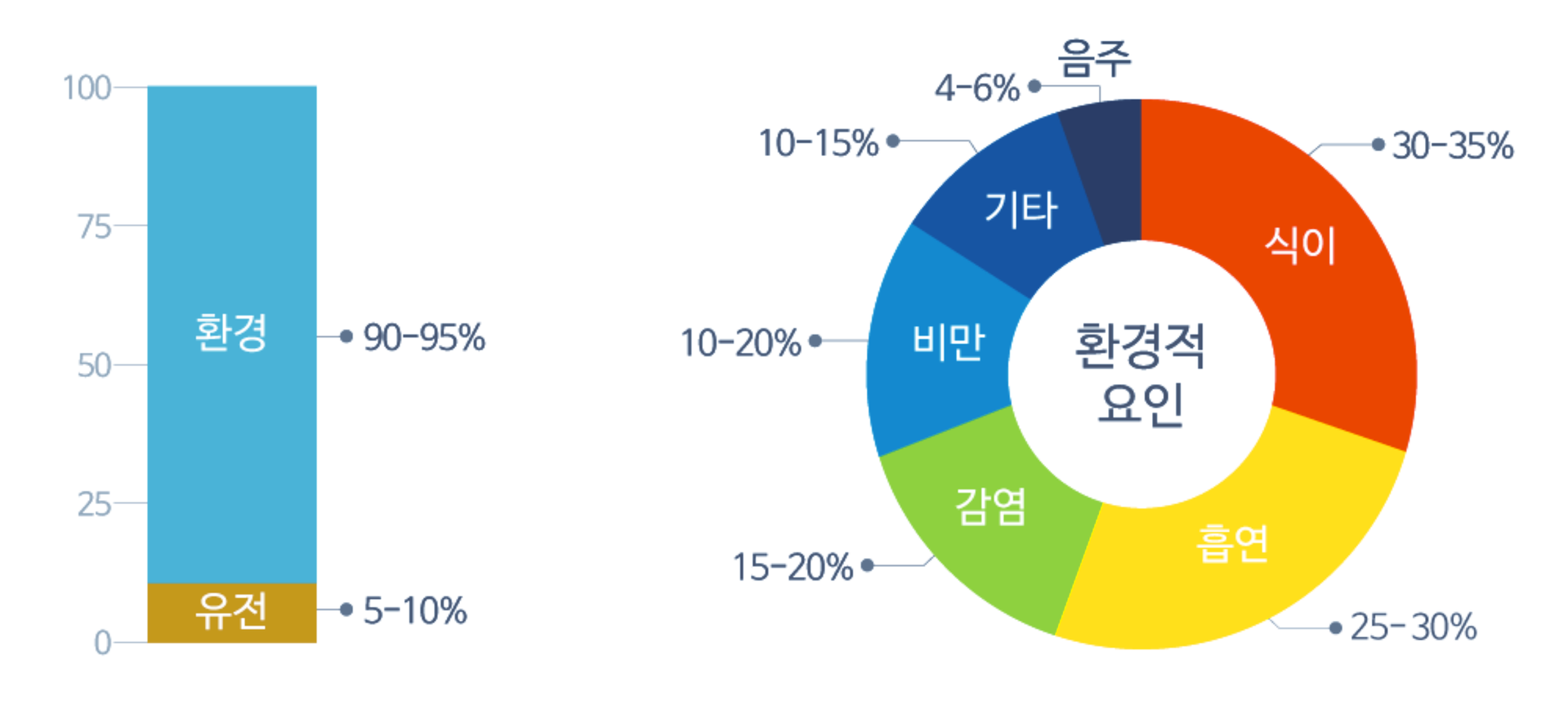 출처 : WHO 산하 국제암연구소(IARC)