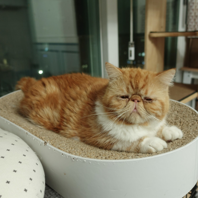 썸네일 없음